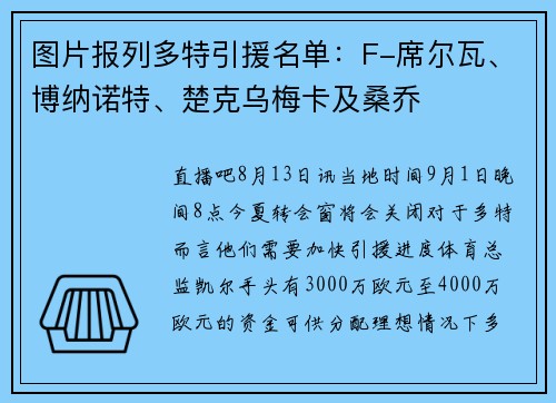 图片报列多特引援名单：F-席尔瓦、博纳诺特、楚克乌梅卡及桑乔